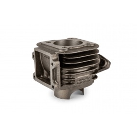 Malossi Cylinder Kit