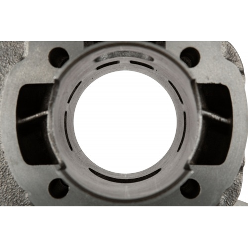 Malossi Cylinder Kit Malossi Cylinder Kit