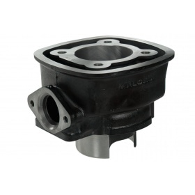 Malossi Cylinder Kit