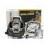Malossi Cylinder Kit Malossi Cylinder Kit