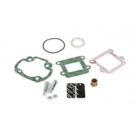 Malossi Cylinder Kit