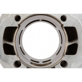 Malossi Cylinder Kit