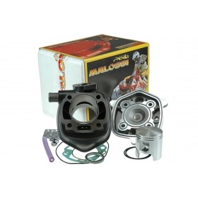 Malossi Cylinder Kit