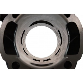 Malossi Cylinder Kit