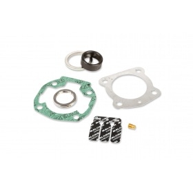 Malossi Cylinder Kit