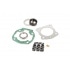 Malossi Cylinder Kit Malossi Cylinder Kit