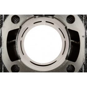 Malossi Cylinder Kit