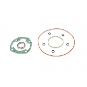Malossi Cylinder Kit