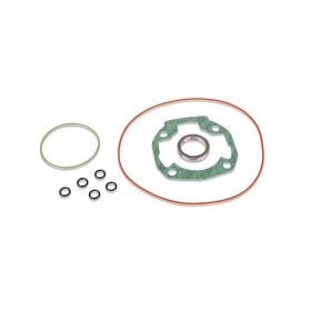 Malossi Cylinder Kit