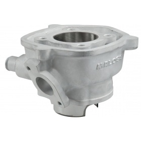 Malossi Cylinder Kit