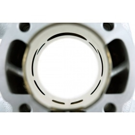 Malossi Cylinder Kit