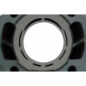 Malossi Cylinder Kit