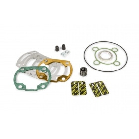 Malossi Cylinder Kit