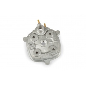 Malossi Cylinder Kit