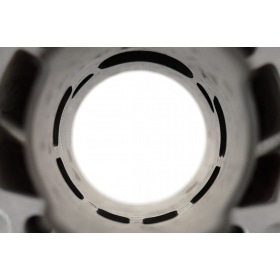 Malossi Cylinder Kit