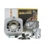 Malossi Cylinder Kit Malossi Cylinder Kit