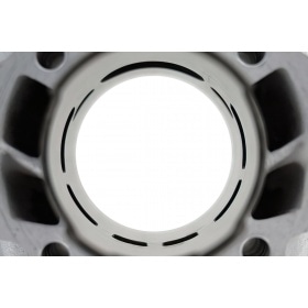 Malossi Cylinder Kit