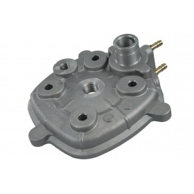 Malossi Cylinder Kit