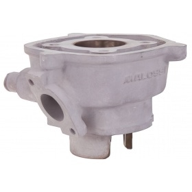 Malossi Cylinder Kit