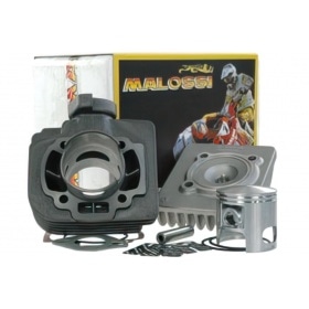 Malossi Cylinder Kit 