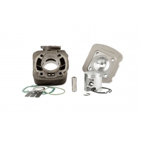 Malossi Cylinder Kit