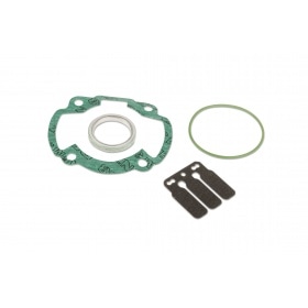 Malossi Cylinder Kit