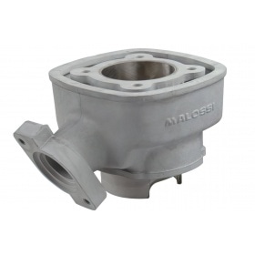 Malossi Cylinder Kit