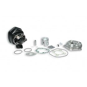 Malossi Cylinder Kit 