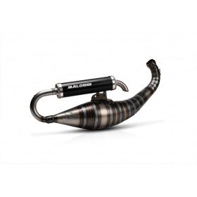 Exhaust for Malossi Testa Rossa FL100
