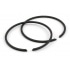Malossi Piston Rings Malossi Piston Rings