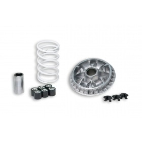 Variator CVT Malossi 2000 Multivar Gilera Nexus / Piaggio X9 Street 500cc