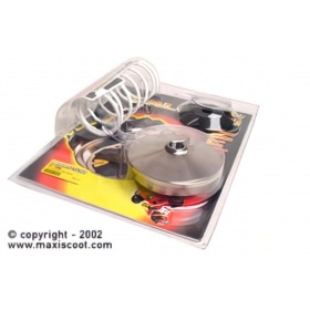 Variator CVT Malossi 2000 Multivar Aprilia Scarabeo / Piaggio Free 100cc