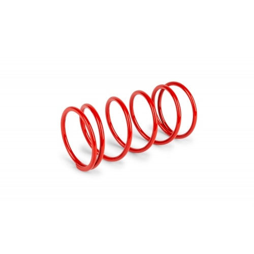 Malossi Variator Malossi Variator