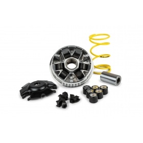 CVT variators Malossi Multivar 2000 Honda PCX 125cc ti