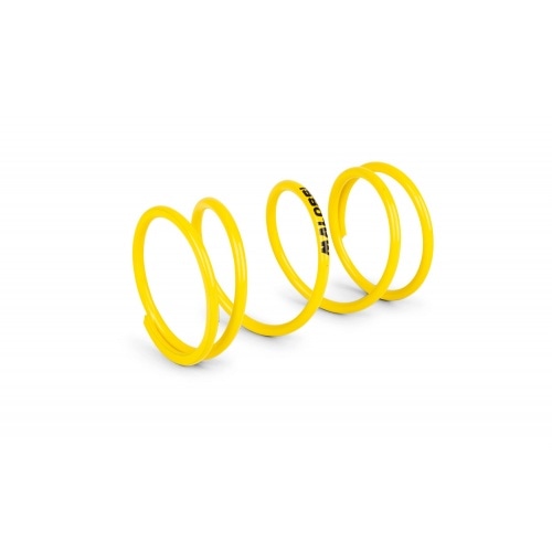 Malossi Variator Malossi Variator