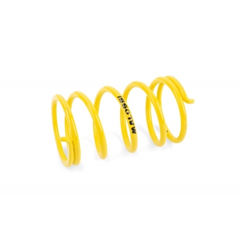 Malossi Variator Malossi Variator