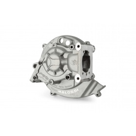 Karteris Malossi MP-One Piaggio Ciao (elektroniskais)