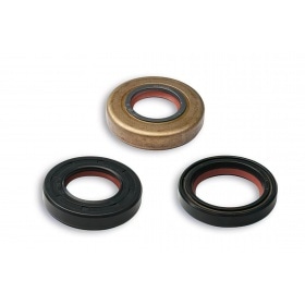 Oil Seal Kit (x3) Malossi FKM / PTFE Minarelli AM6