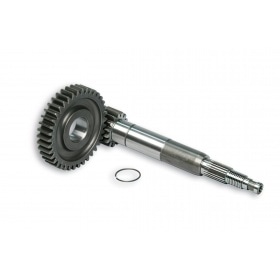 Malossi Primary Transmission 16/37 Piaggio Zip