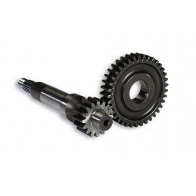 Malossi Primary Transmission 16/37 Piaggio Zip / Quartz before 2000