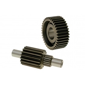 Malossi Secondary Transmission 17/37 Piaggio X9 250cc