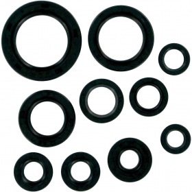 Oil Seal Kit Moose Racing CR 125