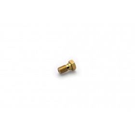 Banjo Bolt Motacc M10x1.25 gold