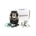 Cylinder Kit Black Series Derbi Euro 3 (D50B0) Cylinder Kit Black Series Derbi Euro 3 (D50B0)