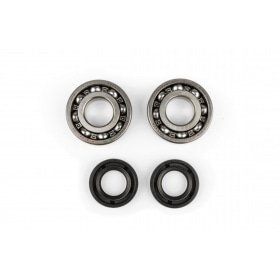 Подшипники коленчатого вала + сальники Derbi Euro 2 (EBE / EBS) / Euro 3 (D50B0)