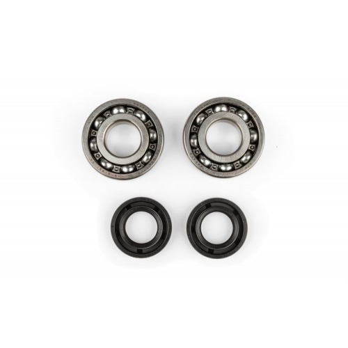 Подшипники коленчатого вала + сальники Derbi Euro 2 (EBE / EBS) / Euro 3 (D50B0) Подшипники коленчатого вала + сальники Derbi Euro 2 (EBE / EBS) / Euro 3 (D50B0)