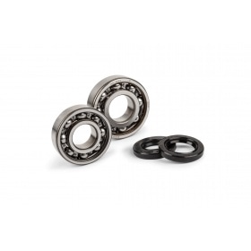 Crankshaft Bearings + Oil Seals Motoforce Peugeot 103