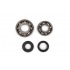 Crankshaft Bearings + Oil Seals Motoforce Peugeot 103 Crankshaft Bearings + Oil Seals Motoforce Peugeot 103