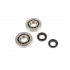 Crankshaft Bearings + Oil Seals Piaggio / Gilera / Aprilia / Vespa Crankshaft Bearings + Oil Seals Piaggio / Gilera / Aprilia / Vespa
