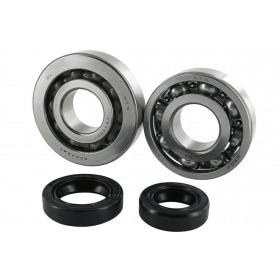 Kloķvārpstas gultņi + eļļas blīvslēgi Peugeot vertical pēc 2004. gada